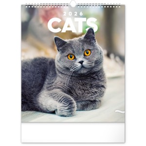 Falinaptr Cats 2026, 30  34 cm