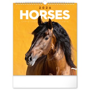 Falinaptr Horses 2026, 30  34 cm