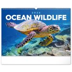 Falinaptr Ocean Wildlife 2026, 48  33 cm