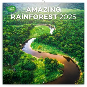 Lemeznaptr Amazing Rainforest 2026, 30 x 30 cm