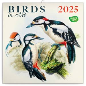 Lemeznaptr Birds in Art 2026, 30 x 30 cm