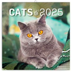Lemeznaptr Cats 2026, 30  30 cm