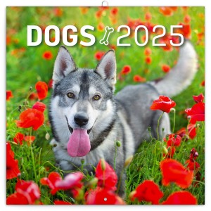 Lemeznaptr Dogs 2026, 30  30 cm
