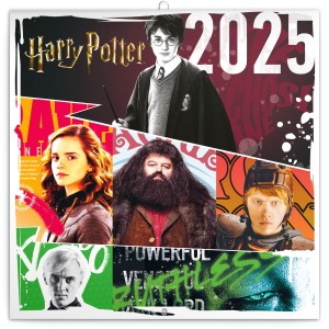 Lemeznaptr Harry Potter 2026, 30  30 cm