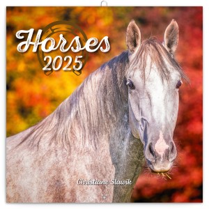 Lemeznaptr Horses ? Christiane Slawik 2026, 30  30 cm