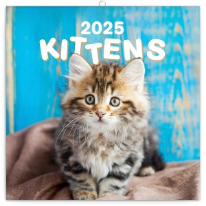 Lemeznaptr Kittens 2026, 30  30 cm