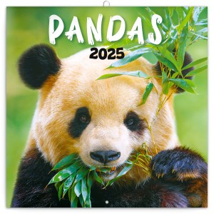 Lemeznaptr Pandas 2026, 30  30 cm