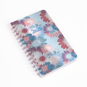 SP 3 mini heti